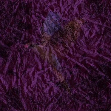 The Path is Gilded and Its Travel Light by Parrot - album cover