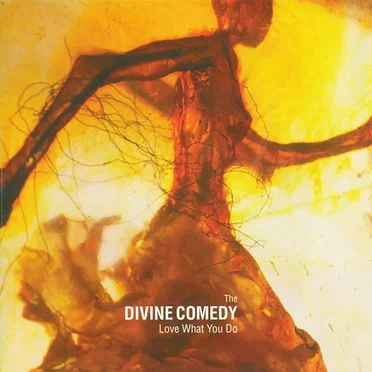 Love What You Do by The Divine Comedy - album cover