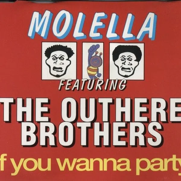 If You Wanna Party