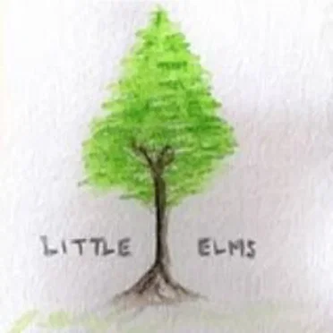 Little Elms by The Acorn - album cover