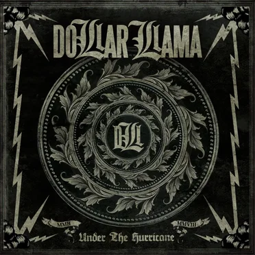 Under the Hurricane by Dollar Llama - album cover