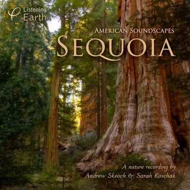 American Soundscapes: Sequoia