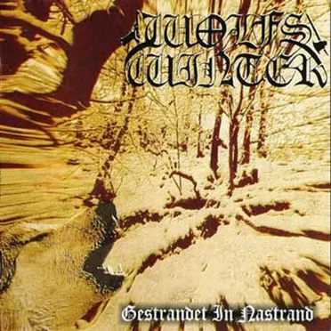 Gestrandet in Nastrand by Wolfswinter - album cover