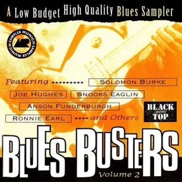 The Blues Busters by Various Artists - album cover