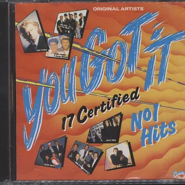 You Got It by Various Artists - album cover