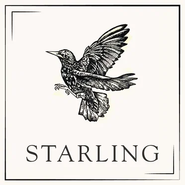 Starling by Starling - album cover