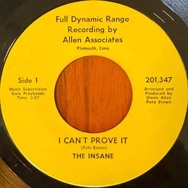 I Can't Prove It by The Insane - album cover