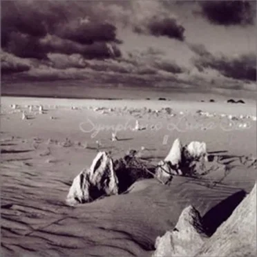 Symphonic Luna Sea Ⅱ by Various Artists - album cover