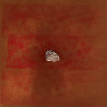 Froschdosis by Die Feinen Trinkers Bei Pinkels Daheim - album cover