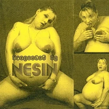 Pregnated By Nesin