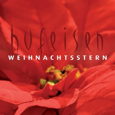 Weihnachtsstern by Hans-Jürgen Hufeisen - album cover