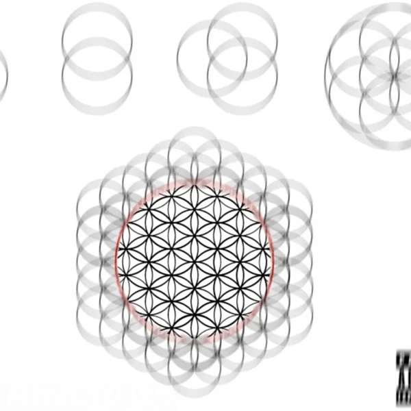 The Flower of Life
