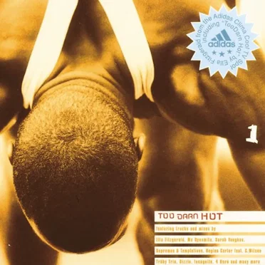 Too Darn Hot by Various Artists - album cover