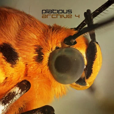 Platipus Archive 4 by Various Artists - album cover