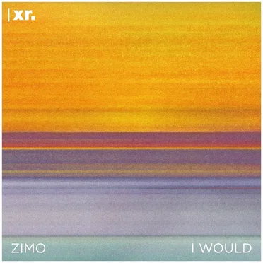I Would