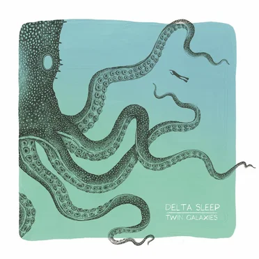 Twin Galaxies by Delta Sleep - album cover