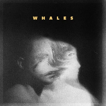 Whales by Whales - album cover