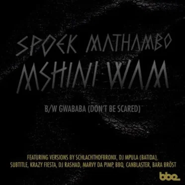 Mshini Wam / Gwababa (Don't Be Scared) by Spoek Mathambo - album cover