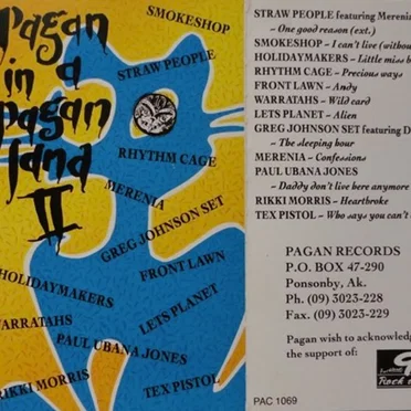 Pagan in a Pagan Land - Volume 2 by Various Artists - album cover