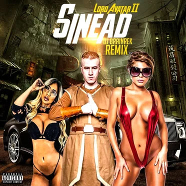 Sinead (DJ Brainrek remix)