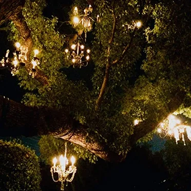 Chandelier Tree by Gregor Klamra - album cover
