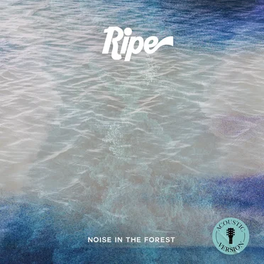 Noise in the Forest (acoustic)