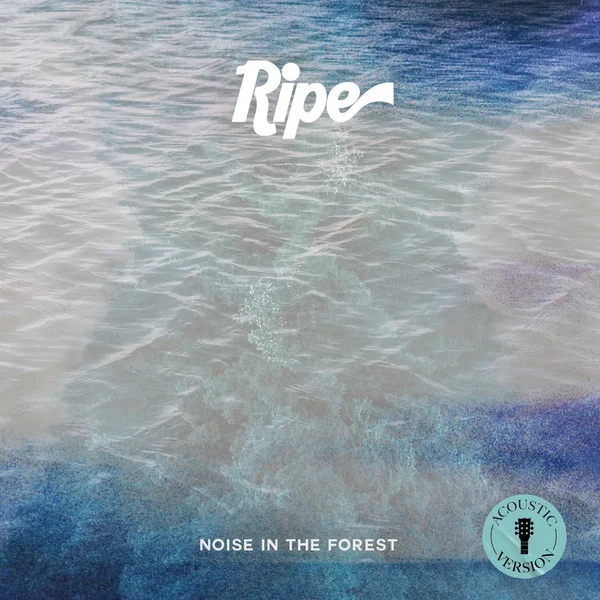 Noise in the Forest (acoustic)
