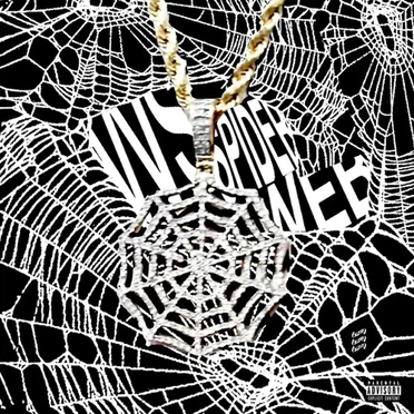 vvs spiderweb by Souljah Star - album cover