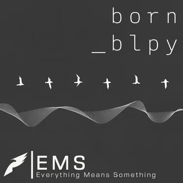 EMS (Everything Means Something)