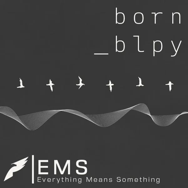 EMS (Everything Means Something)