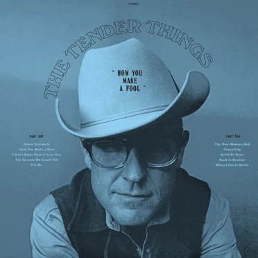How You Make a Fool by The Tender Things - album cover