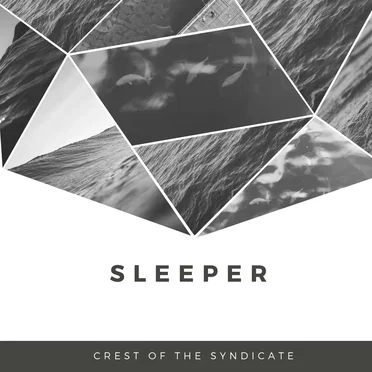 Sleeper