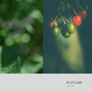 Nightshade