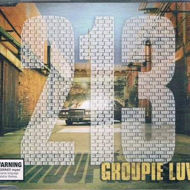 Groupie Luv by 213 - album cover