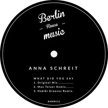 What Did You Say by Anna Schreit - album cover