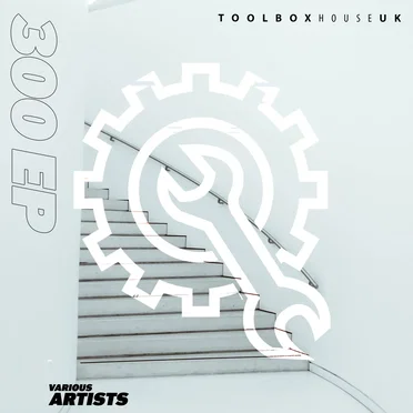 Toolbox House 300 by Various Artists - album cover