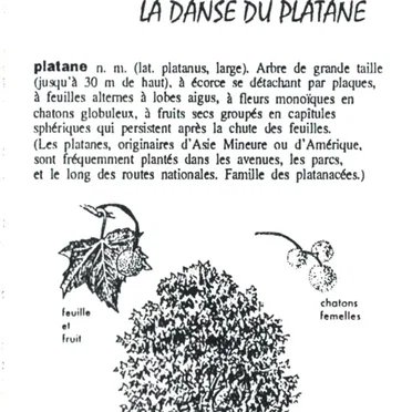La danse du platane by The Plane Trees - album cover