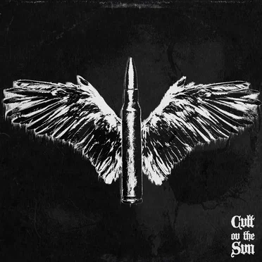 I Am Your Reckoning by Cvlt Ov the Svn - album cover