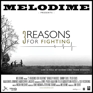 3 Reasons for Fighting by Melodime - album cover