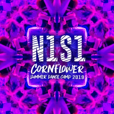 N1S1