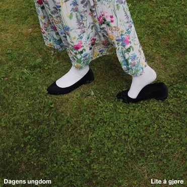 Lite å gjøre by Dagens Ungdom - album cover