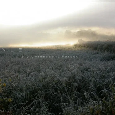 Bioluminescent Forest by N:L:E - album cover