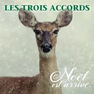 Noël est arrivé