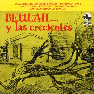Beulah y las crecientes by Various Artists - album cover