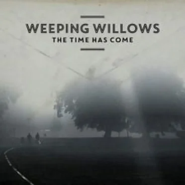 The Time Has Come by Weeping Willows - album cover
