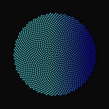 The History of Earth Observations