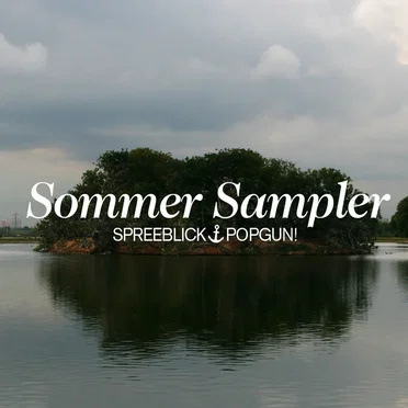 Popgun! 61 – Spreeblick-Download-Sommer-Sampler-2009 by Various Artists - album cover