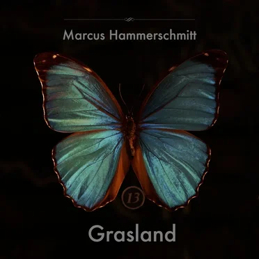 Grasland by Marcus Hammerschmitt - album cover