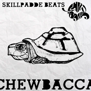 Skillpadde beats by Chewbacca - album cover
