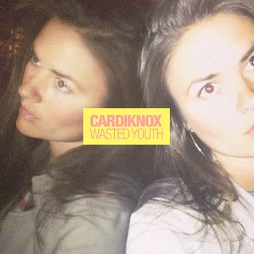 Wasted Youth by Cardiknox - album cover